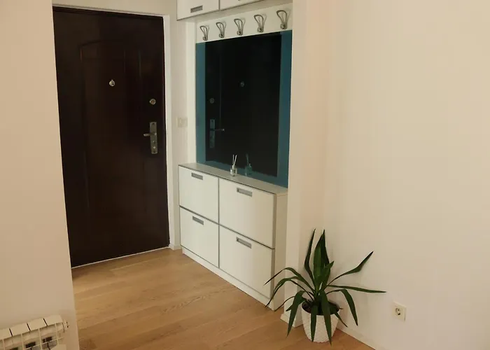 Moonlight Shadow Sarajevo